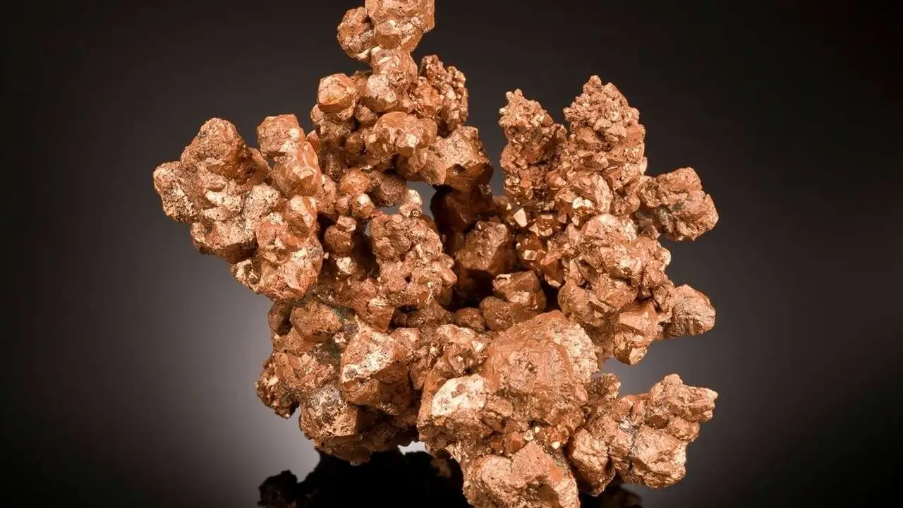 Close up on a plate of mashed potatoes, topped with baked pork chops with cream of mushroom soup, and a side of green beans.