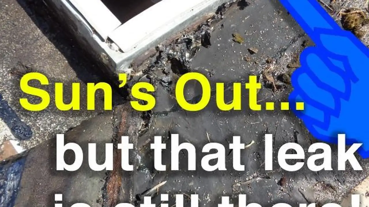 Two mint chocolate milkshakes with whipped cream and green sprinkles.