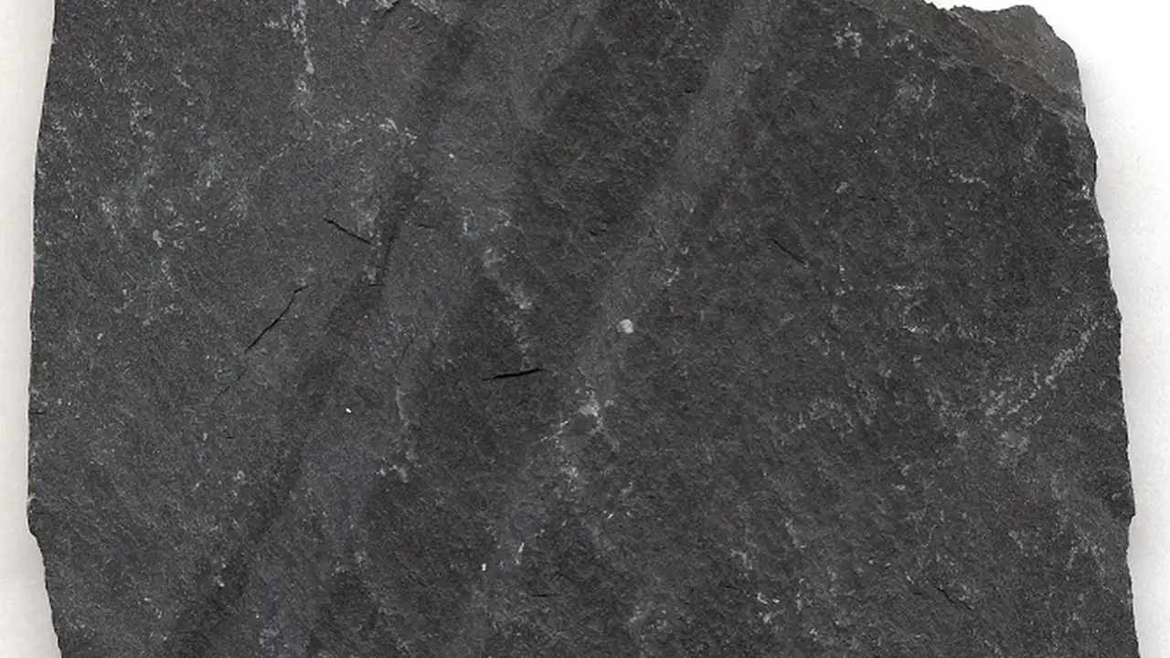 Close up on a plate of mashed potatoes, topped with baked pork chops with cream of mushroom soup, and a side of green beans.