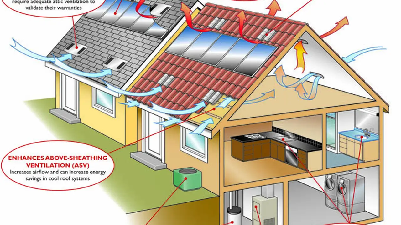 pork chops with cream sauce