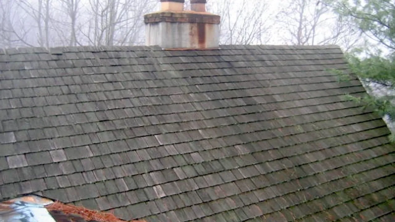 Close up on a plate of mashed potatoes, topped with baked pork chops with cream of mushroom soup, and a side of green beans.